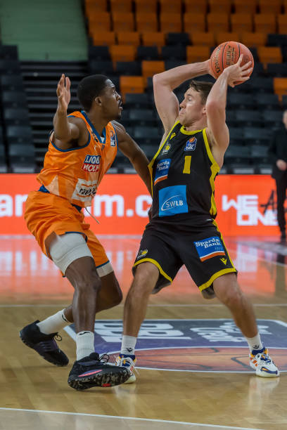 森林狼在这 森林狼在这