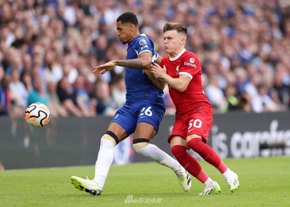 更是投资未 更是投资未